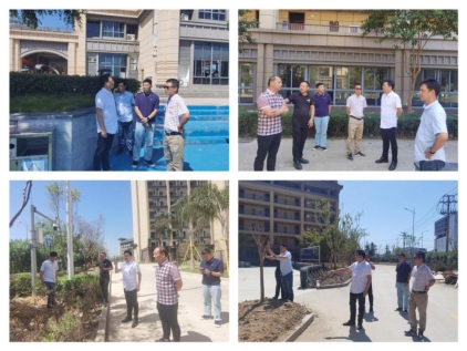 72bf97d4a71afdb4f2e06babf89a9b1